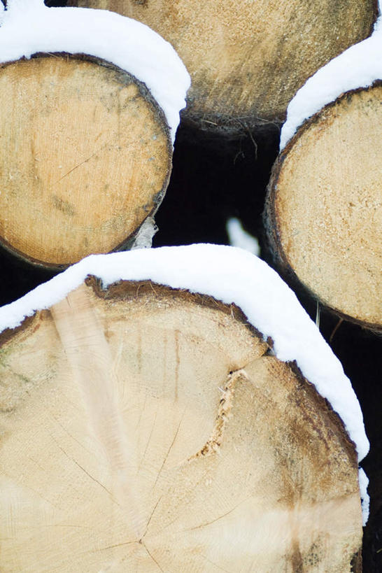 无人,竖图,室外,特写,白天,正面,旅游,度假,美景,雪,大雪,木材,木头,积雪,景观,雪景,冬季,冬天,娱乐,自然,享受,休闲,景色,放松,寒冷,冰冷,原木,自然风光,严寒,冰凉,酷寒,凛冽,凛凛,极冷,彩图