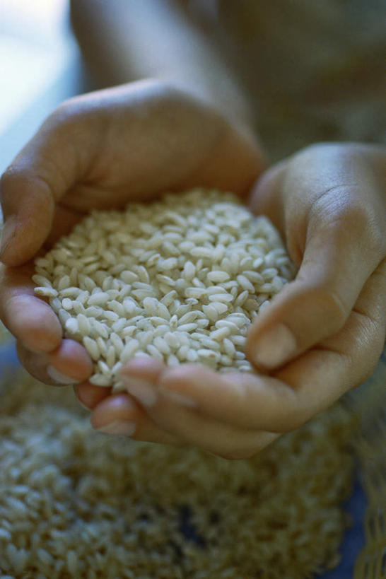 米饭,西方人,一个人,捧,竖图,俯视,室内,特写,白天,欧洲,欧洲人,仅一个男性,仅一个人,一堆,许多,阴影,堆叠,堆积,朦胧,模糊,光线,影子,饭,米,很多,大米,仅一个年轻男性,堆,五谷,男人,男性,年轻男性,白种人,端,端着,捧着,手捧,半身,彩图,高角度拍摄