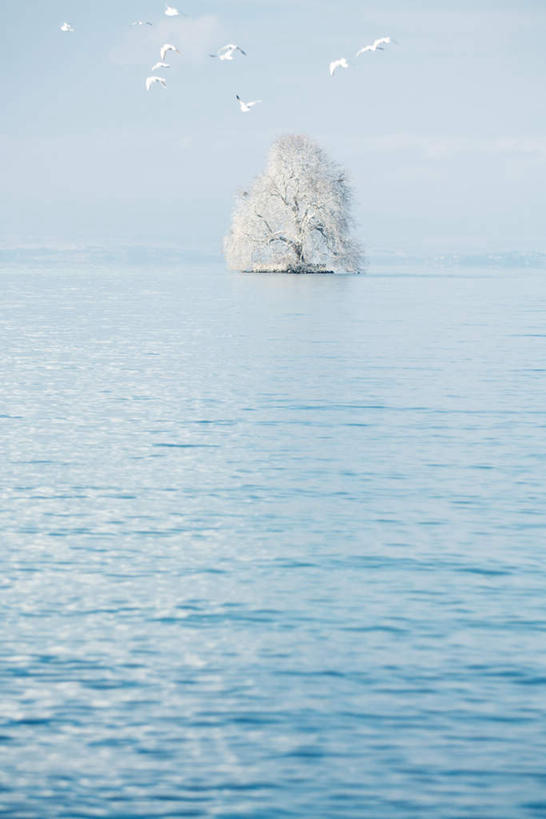 风景,人文