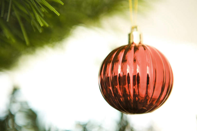 无人,横图,室内,特写,白天,仰视,植物,圣诞节,节日,庆祝,彩灯,瓦片,屋檐,灯光,圣诞树,文化,吊灯,檐,灯,树,树木,一个,红色,绿色,天空,自然,灯具,天,庆典,生长,单个,成长,纪念,照明设备,彩图,低角度拍摄