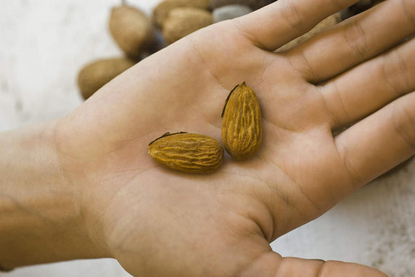 西方人,手,一个人,横图,俯视,室内,白天,餐桌,桌子,杏仁,欧洲,欧洲人,仅一个男性,仅一个人,许多,摊开,拿,拿着,仅一个年轻男性,打开,手部,餐台,男人,男性,年轻男性,白种人,杏子,杏梅仁,杏核仁,木落子,苦杏仁,半身,彩图,高角度拍摄