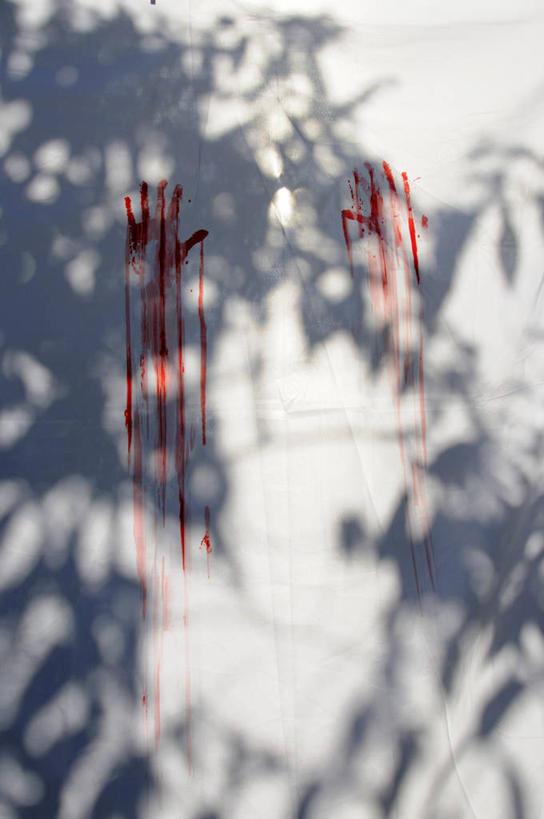 无人,竖图,室外,特写,白天,正面,植物,英国,欧洲,阴影,朦胧,模糊,光线,影子,英格兰,树,树木,红色,绿色,白色,阳光,自然,血液,生长,成长,卫生,手印,被单,西欧,大不列颠,纯真,大不列颠及北爱尔兰联合王国,洁净,光明,大不列颠联合王国,日不落英帝国,恬静,中间色,朴素,清白,英吉利,指模,彩图