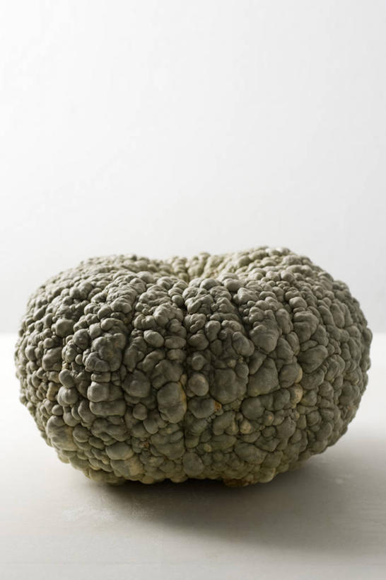 无人,竖图,室内,特写,白天,白色背景,正面,蔬菜,阴影,新鲜,反射,纹路,纹理,影子,食品,西葫芦,食物,一个,白瓜,摄影,有机食品,绿色食品,影棚,单个,肌理,笋瓜,北瓜,茭瓜,彩图,影棚拍摄,拍摄