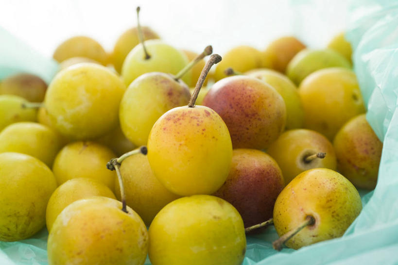 无人,横图,室内,特写,白天,正面,李子,水果,一堆,许多,阴影,堆叠,堆积,新鲜,反射,影子,生食,食品,果实,很多,食物,黄色,摄影,有机食品,绿色食品,影棚,堆,布拉斯李,黄香李,彩图,影棚拍摄,拍摄