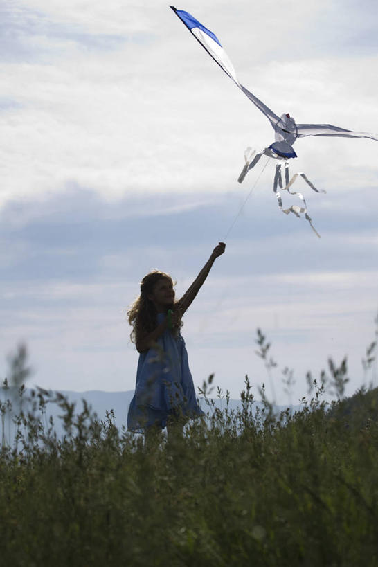西方人,儿童,一个人,站,举,竖图,室外,白天,裙子,纯洁,草地,草坪,植物,欧洲,欧洲人,仅一个女性,仅一个人,阴影,连衣裙,光线,影子,云,云朵,云彩,草,一个,小孩,背面,蓝色,绿色,白云,蓝天,天空,阳光,风筝,天,托,站着,仅一个小孩,可爱,童年,童趣,放风筝,晴朗,单个,纸鸢,童真,烂漫,无邪,放鹞子,鹞,鹞子,鸢,木鸢,天真,女孩,女人,女性,白种人,孩子,晴空,举起,举手,举着,向上举,向上伸,向上托,站立,彩图,全身,女生