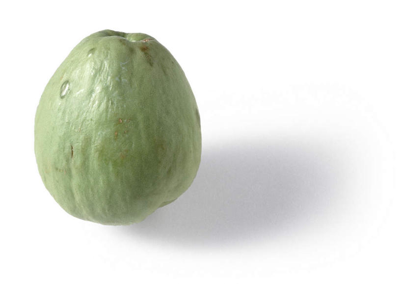 无人,横图,俯视,室内,特写,白天,白色背景,餐桌,桌子,蔬菜,静物,新鲜,生食,食品,佛手瓜,食物,一个,绿色,摄影,有机食品,绿色食品,影棚,单个,餐台,菜肴梨,福寿瓜,合手瓜,合掌瓜,梨瓜,拳头瓜,万年瓜,洋丝瓜,彩图,高角度拍摄,影棚拍摄,拍摄