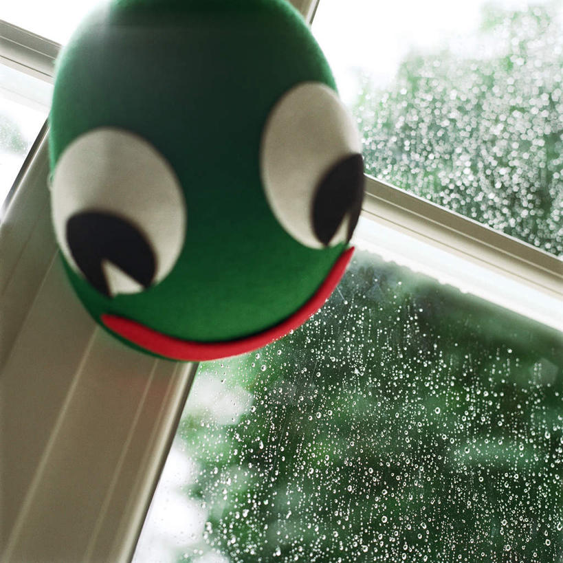 眼睛,嘴,无人,方图,室内,特写,白天,仰视,植物,窗户,玩具,阴影,光线,影子,墙,玻璃窗,墙壁,墙面,树,树木,一个,绿色,阳光,自然,眼部,毛绒玩具,生长,单个,成长,口,口腔,眼,嘴巴,嘴唇,彩图,低角度拍摄