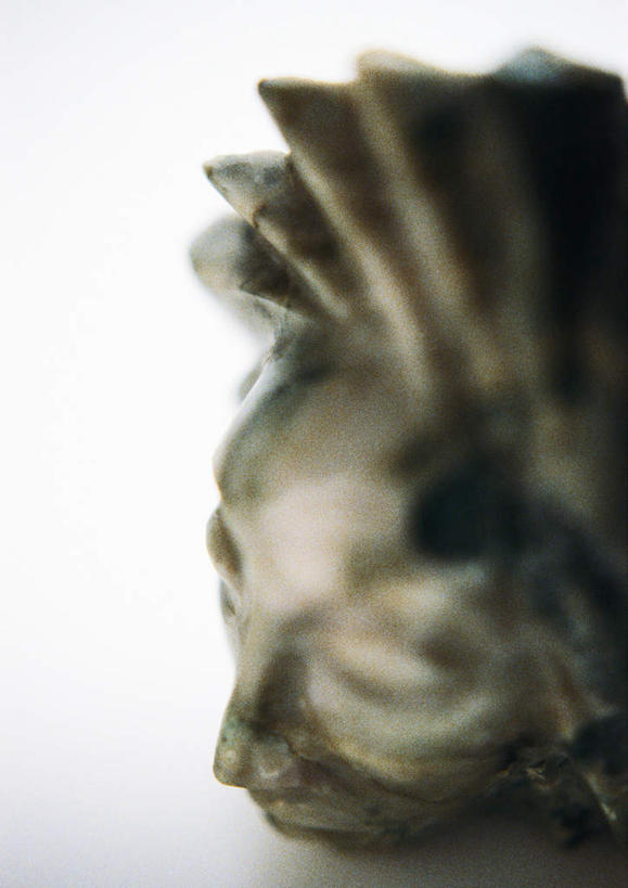 头,无人,竖图,俯视,室内,特写,白天,白色背景,礁石,石头,桌面,桌子,静物,朦胧,模糊,装饰,石子,艺术品,一个,摄影,影棚,单个,华丽,修饰,点缀,衬托,美观,雅致,雅观,头部,礁,石块,岩石,彩图,高角度拍摄,影棚拍摄,拍摄