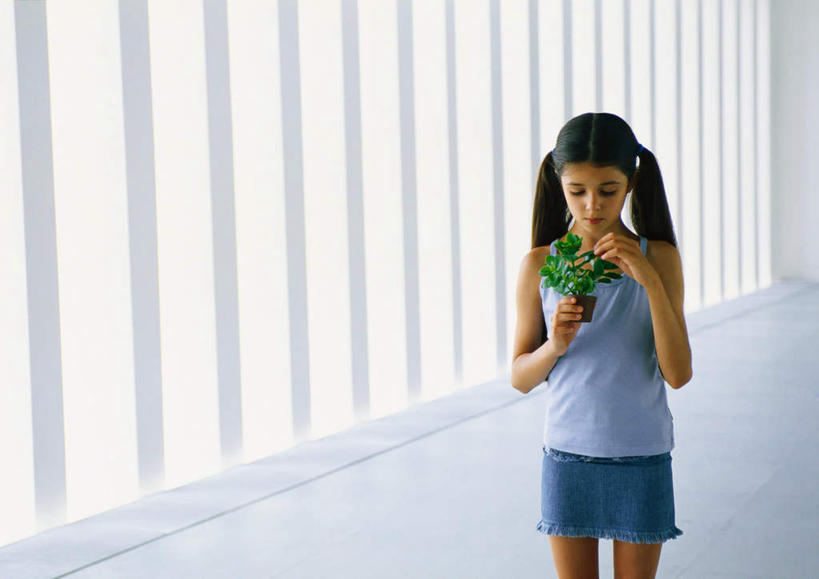 西方人,儿童,头发,一个人,站,笑,摸,微笑,露齿笑,横图,室内,白天,正面,裙子,纯洁,植物,叶子,欧洲,欧洲人,仅一个女性,仅一个人,一排,抚摸,握,阴影,条纹,整齐,光线,盆栽,影子,墙,绿叶,盆景,地面,拿,拿着,注视,休闲装,墙壁,墙面,排列,小孩,蓝色,绿色,黑色,阳光,自然,低头,观察,看,站着,仅一个小孩,休闲,休闲服,嫩叶,可爱,童年,童趣,握着,短裙,生长,成长,观看,半身裙,一盆,察看,队列,关注,童真,烂漫,无邪,天真,女孩,女人,女性,白种人,孩子,长发,叶,叶片,触摸,接触,站立,半身,彩图,女生