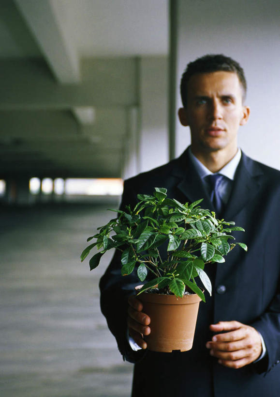 西方人,头发,一个人,商务人士,商务男性,站,举,笑,微笑,露齿笑,竖图,室内,白天,正面,衬衫,植物,欧洲,欧洲人,仅一个男性,仅一个人,一排,握,阴影,套装,整齐,光线,盆栽,影子,墙,领带,盆景,拿,拿着,注视,墙壁,墙面,排列,仅一个年轻男性,黄色,蓝色,绿色,阳光,自然,观察,看,托,站着,握着,生长,成长,观看,一盆,察看,队列,关注,商务装,工薪阶层,男人,男性,年轻男性,白种人,白领,上班族,举起,举手,举着,向上举,向上伸,向上托,站立,半身,彩图,衬衣