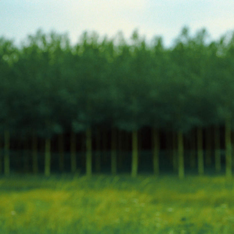 无人,栏杆,方图,室外,白天,正面,旅游,度假,草地,草坪,美景,树林,植物,一排,阴影,朦胧,模糊,整齐,光线,影子,栅栏,景观,篱笆,云,云朵,围栏,云彩,娱乐,护栏,草,树,树木,排列,蓝色,绿色,白云,蓝天,天空,阳光,自然,天,享受,休闲,景色,放松,生长,成长,队列,自然风光,彩图