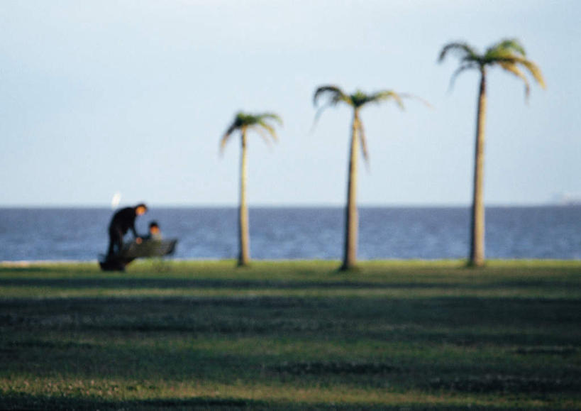 西方人,两个人,家庭,夫妻,站,坐,横图,室外,白天,正面,爱情,旅游,度假,草地,草坪,海浪,海洋,美景,植物,椅子,欧洲,欧洲人,一排,弯腰,朦胧,模糊,整齐,景观,浪花,水平线,云,云朵,辽阔,海平线,浪漫,云彩,娱乐,草,树,树木,排列,蓝色,绿色,白云,蓝天,天空,自然,海水,天,低头,靠,靠着,倚靠,站着,享受,休闲,广阔,温暖,温馨,一家人,景色,恩爱,放松,恋人,生长,成长,一望无际,和睦,倚着,队列,自然风光,海景,弯身,无边无际,一马平川,男人,男性,年轻男性,年轻女性,女人,女性,白种人,情侣,大海,风浪,海,海水的波动,近岸浪,涌浪,站立,坐着,彩图,全身,伴侣,融洽,水天相接,水天一线