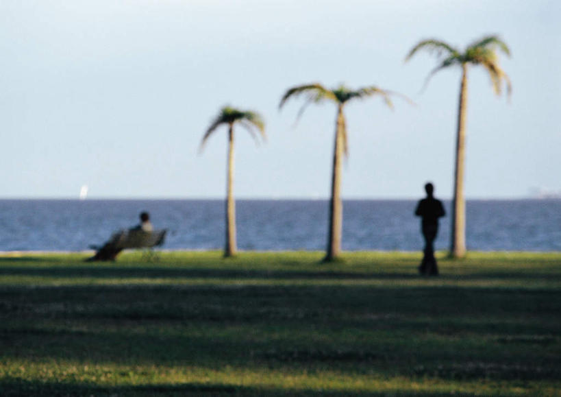 西方人,两个人,家庭,夫妻,站,坐,走,横图,室外,白天,爱情,旅游,度假,草地,草坪,海浪,海洋,美景,植物,椅子,欧洲,欧洲人,一排,阴影,朦胧,模糊,整齐,光线,影子,景观,浪花,水平线,云,云朵,辽阔,海平线,浪漫,云彩,注视,娱乐,草,树,树木,排列,背面,蓝色,绿色,白云,蓝天,天空,阳光,自然,海水,天,观察,看,靠,靠着,倚靠,站着,享受,休闲,广阔,温暖,温馨,一家人,景色,恩爱,放松,恋人,生长,成长,观看,一望无际,和睦,察看,倚着,队列,关注,自然风光,海景,无边无际,一马平川,男人,男性,年轻男性,年轻女性,女人,女性,白种人,情侣,大海,风浪,海,海水的波动,近岸浪,涌浪,步行,站立,走路,坐着,彩图,全身,伴侣,融洽,水天相接,水天一线