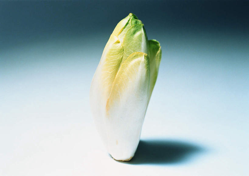 无人,横图,俯视,室内,特写,白天,白色背景,植物,桌面,蔬菜,叶子,阴影,新鲜,反射,影子,菊苣,食品,绿叶,草药,药草,中药,食物,一个,绿色,白色,嫩叶,摄影,有机食品,绿色食品,影棚,单个,药材,中草药,中药材,本草,叶,叶片,彩图,高角度拍摄,影棚拍摄,拍摄