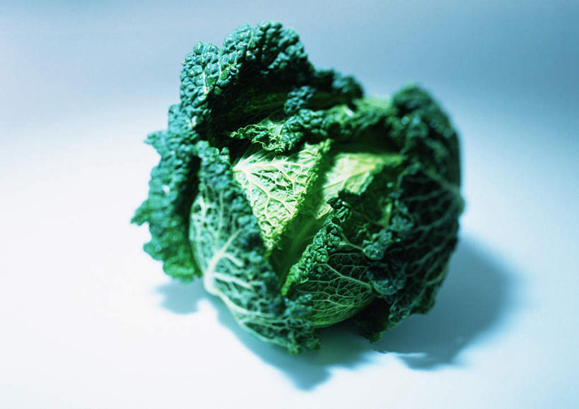 无人,横图,俯视,室内,特写,白天,白色背景,桌面,蔬菜,椰菜,卷心菜,叶子,阴影,新鲜,反射,影子,食品,绿叶,食物,一个,绿色,嫩叶,摄影,有机食品,绿色食品,影棚,单个,叶,叶片,结球甘蓝,甘兰,包心菜,彩图,高角度拍摄,影棚拍摄,拍摄