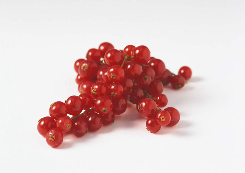 无人,横图,俯视,室内,特写,白天,白色背景,餐桌,桌子,浆果,水果,一堆,许多,阴影,堆叠,堆积,新鲜,反射,影子,生食,食品,果实,食物,红色,摄影,有机食品,绿色食品,影棚,餐台,堆,红醋栗,醋栗,彩图,高角度拍摄,影棚拍摄,拍摄