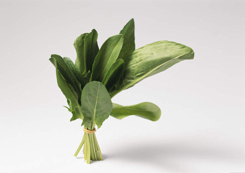 无人,横图,俯视,室内,特写,白天,白色背景,餐桌,桌子,蔬菜,叶子,新鲜,食品,绿叶,食物,一个,嫩叶,摄影,有机食品,绿色食品,影棚,单个,餐台,斑鸠酸,酢浆草,钩钩草,三叶酸,酸浆草,酸咪咪,酸酸草,叶,叶片,彩图,高角度拍摄,影棚拍摄,拍摄