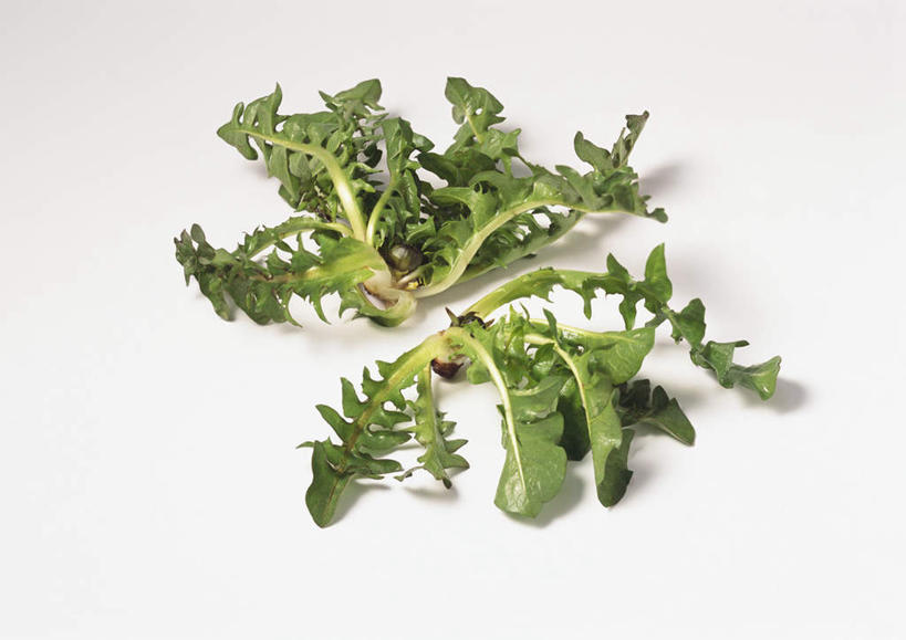 无人,横图,俯视,室内,特写,白天,白色背景,爱情,餐桌,桌子,蒲公英,蔬菜,叶子,新鲜,食品,绿叶,食物,两个,绿色,嫩叶,摄影,有机食品,绿色食品,影棚,餐台,开朗,叶,叶片,蒲公草,尿床草,彩图,高角度拍摄,影棚拍摄,拍摄