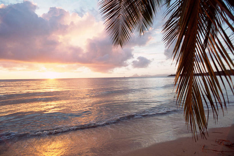 无人,横图,室外,白天,正面,旅游,度假,日出,美景,沙滩,树林,太阳,植物,棕榈树,叶子,沙子,海岸,景观,云,云朵,绿叶,朝霞,晨曦,黎明,沙地,云彩,娱乐,树,树木,绿色,白云,阳光,自然,享受,休闲,嫩叶,景色,放松,生长,成长,自然风光,棕榈叶,叶,叶片,海滩,朝阳,彩图,破晓