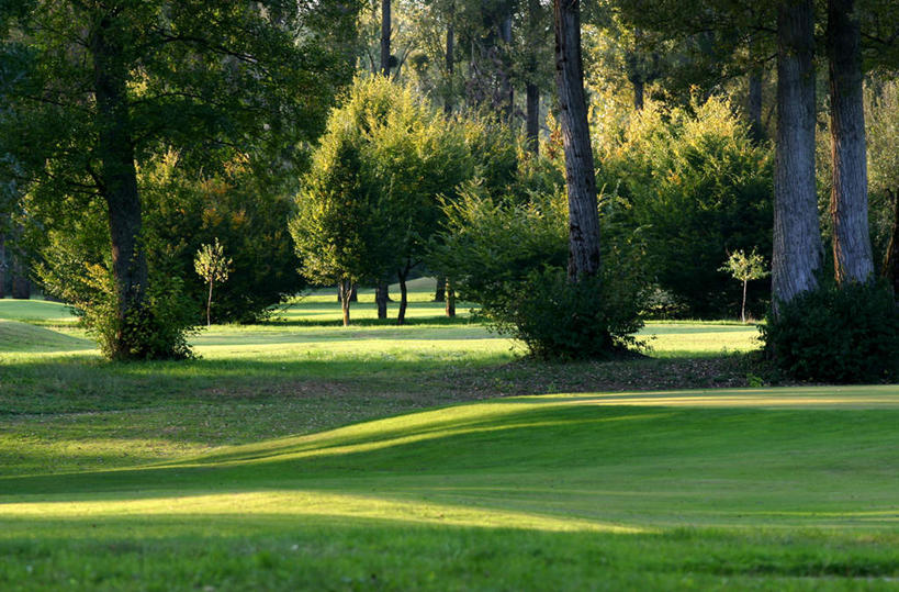 无人,横图,室外,白天,正面,旅游,度假,草地,草坪,美景,树林,植物,许多,阴影,光线,影子,景观,娱乐,草,树,树木,绿色,阳光,自然,享受,休闲,景色,放松,生长,成长,自然风光,彩图