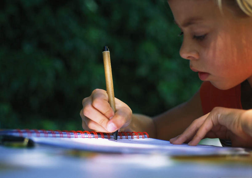 西方人,儿童,一个人,坐,横图,室外,白天,侧面,阅读,纯洁,树林,植物,桌子,欧洲,欧洲人,仅一个男性,仅一个人,学习,阴影,光线,笔,影子,记事本,注视,书桌,树,树木,小孩,绿色,阳光,自然,本子,笔记本,课桌,低头,看,仅一个小孩,可爱,童年,童趣,生长,成长,童真,烂漫,无邪,天真,男孩,男人,男性,白种人,孩子,坐着,半身,彩图,男生