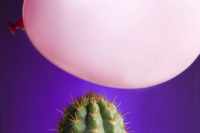 无人,横图,室内,特写,白天,正面,植物,仙人掌,紫色背景,装饰,火焰,塑料,草药,中药,一个,粉色,绿色,气球,塑料制品,橡胶,摄影,影棚,单个,华丽,修饰,点缀,下降,药材,中草药,降落,橡胶制品,中药材,本草,牛舌头,衬托,美观,雅致,雅观,降低,下跌,下落,玉芙蓉,仙巴掌,火掌,霸王树,彩图,影棚拍摄,拍摄,圆桶仙人掌