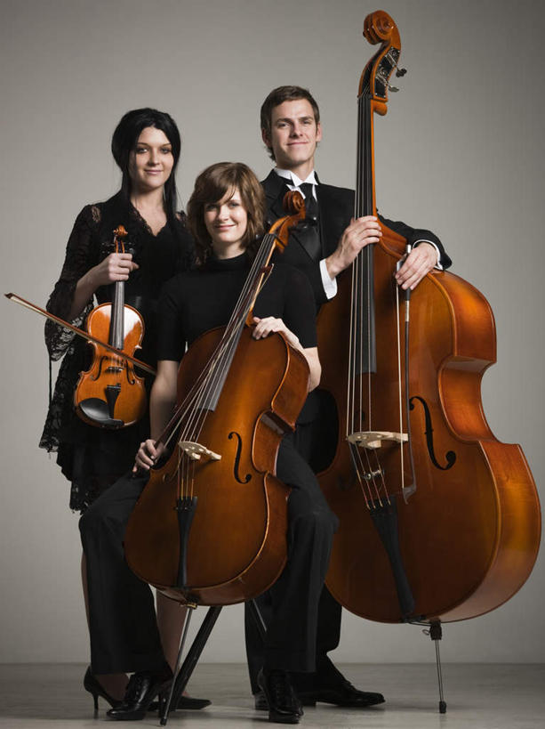 西方人,三个人,伙伴,朋友,站,坐,笑,微笑,露齿笑,竖图,室内,白天,正面,衬衫,西装,友谊,欧洲,欧洲人,握,阴影,灰色背景,套装,服装,正装,反射,影子,大提琴,乐器,领带,弦乐器,小提琴,拿,拿着,注视,休闲装,职业装,衣服,观察,看,站着,休闲,休闲服,握着,艺术家,摄影,服饰,影棚,观看,察看,关注,弓拉弦乐器,弓拉弦鸣乐器,中提琴,友情,男人,男性,年轻男性,年轻女性,女人,女性,白种人,站立,坐着,彩图,全身,影棚拍摄,衬衣,拍摄