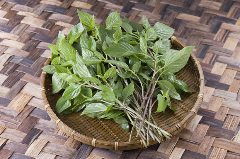 无人,交叉,横图,俯视,室内,特写,白天,烹饪,植物,竹子,竹制,编织,篮子,香料,日本料理,料理,食品,草药,菜肴,美食,中药,食物,竹篮,日式料理,香草,日式,摄影,佳肴,影棚,竹条,交织,罗勒,竹制品,紫苏,药材,中草药,九层塔,圣约瑟夫草,甜罗勒,兰香,中药材,本草,穿插,彩图,高角度拍摄,影棚拍摄,拍摄