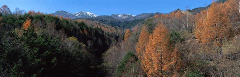 无人,花园,横图,全景,室外,白天,正面,旅游,度假,美景,秋季,森林,山,山脉,树林,天际线,植物,长野县,日本,亚洲,景观,山峰,山峦,娱乐,树,树木,绿色,天空,自然,群山,天,享受,休闲,景色,放松,生长,成长,自然风光,东亚,本州,本州岛,日本国,中部地方,长野,秋,秋天,彩图