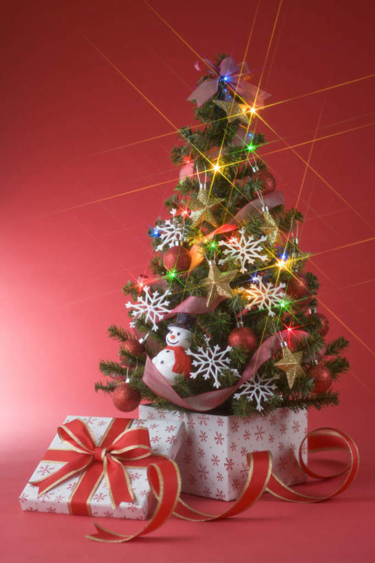 无人,竖图,室内,白天,正面,植物,礼盒,礼物,照明,圣诞节,阴影,红色背景,节日,庆祝,光线,彩灯,丝绸,丝带,影子,纸盒,灯光,圣诞树,缎带,文化,绸带,灯,盒子,树,树木,红色,绿色,自然,包装盒,礼品盒,灯具,庆典,摄影,花灯,礼品,影棚,生长,成长,纪念,照亮,照明设备,彩图,影棚拍摄,拍摄