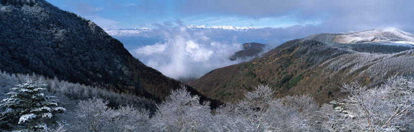 无人,花园,横图,全景,室外,白天,正面,旅游,度假,美景,森林,山,山脉,树林,天际线,植物,长野县,日本,亚洲,景观,山峰,云,云朵,冬天,山峦,云彩,娱乐,树,树木,绿色,白云,天空,自然,群山,天,享受,休闲,景色,放松,生长,成长,自然风光,东亚,本州,本州岛,日本国,中部地方,长野,彩图