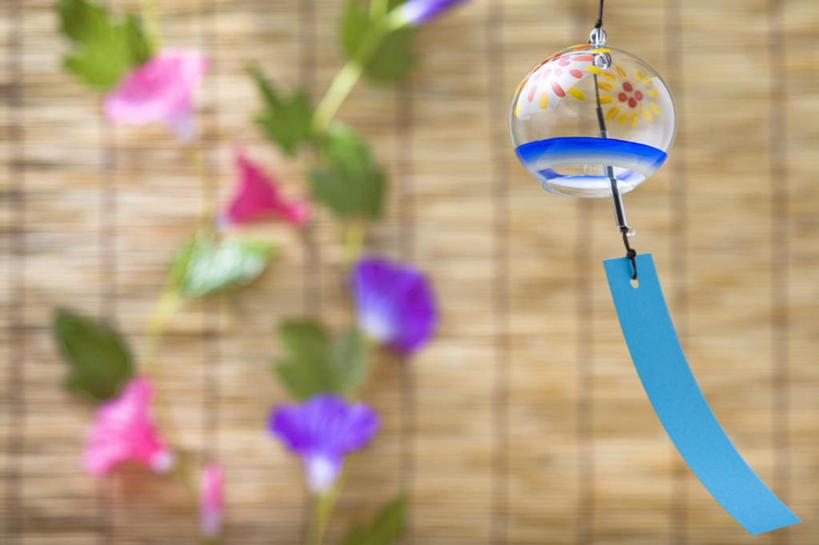 无人,竖图,室内,特写,白天,正面,风铃,叶子,日本,亚洲,悬挂,黄色背景,朦胧,模糊,日本文化,盛开,绿叶,花蕾,文化,花,花瓣,花朵,鲜花,红色,蓝色,紫色,花苞,花蕊,嫩叶,摄影,影棚,东亚,藤蔓植物,日本国,牵牛花,叶,叶片,占风铎,彩图,影棚拍摄,拍摄,传统文化