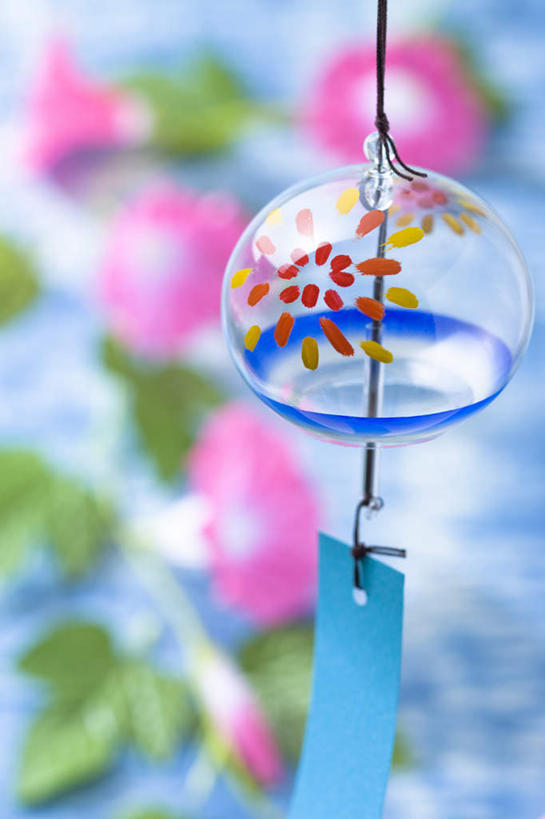 无人,竖图,室内,特写,白天,正面,风铃,叶子,日本,亚洲,悬挂,蓝色背景,朦胧,模糊,日本文化,盛开,绿叶,花蕾,文化,花,花瓣,花朵,鲜花,红色,蓝色,紫色,花苞,花蕊,嫩叶,摄影,影棚,东亚,藤蔓植物,日本国,牵牛花,叶,叶片,占风铎,彩图,影棚拍摄,拍摄,传统文化