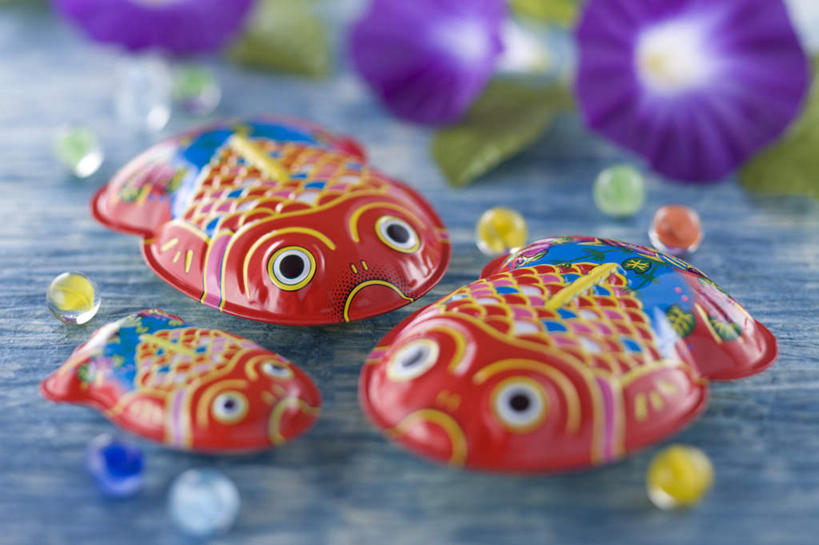 无人,横图,俯视,室内,特写,白天,爱情,喇叭花,玩具,叶子,日本,三朵,三只,蓝色背景,朦胧,模糊,日本文化,盛开,金鱼,玩偶,绿叶,花蕾,文化,弹珠,花,花瓣,花朵,鲜花,花苞,花蕊,嫩叶,摄影,影棚,虚幻,东亚,日本国,永恒,牵牛,牵牛子,勤娘子,碧冬茄,朝颜花,灵芝牡丹,冷静,牵牛花,叶,叶片,彩图,高角度拍摄,影棚拍摄,拍摄,传统文化