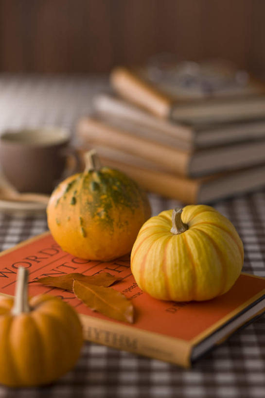 无人,竖图,俯视,室内,特写,白天,看书,阅读,秋季,南瓜,蔬菜,书籍,叶子,学习,朦胧,模糊,新鲜,金瓜,食品,枯叶,番瓜,食物,三个,书本,看,读书,浏览,摄影,有机食品,绿色食品,影棚,麦瓜,倭瓜,叶,叶片,书,图书,秋,秋天,彩图,高角度拍摄,影棚拍摄,拍摄