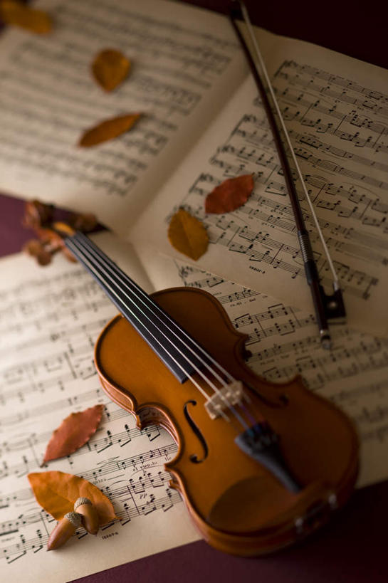 无人,竖图,俯视,室内,白天,看书,阅读,书籍,叶子,学习,枯叶,乐器,弦乐器,小提琴,书本,看,读书,浏览,摄影,影棚,两本,弓弦,弓拉弦乐器,弓拉弦鸣乐器,叶,叶片,书,图书,彩图,高角度拍摄,影棚拍摄,拍摄