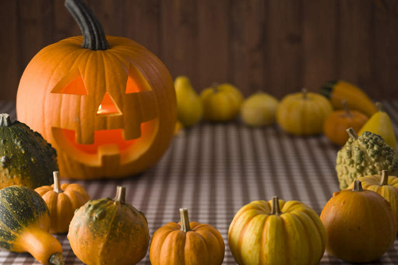 无人,竖图,室内,白天,正面,南瓜,蔬菜,蜡烛,许多,节日,庆祝,新鲜,火焰,烛光,金瓜,食品,燃烧,文化,番瓜,食物,点燃,庆典,万圣节,摄影,有机食品,绿色食品,影棚,纪念,麦瓜,倭瓜,彩图,影棚拍摄,拍摄,拟人