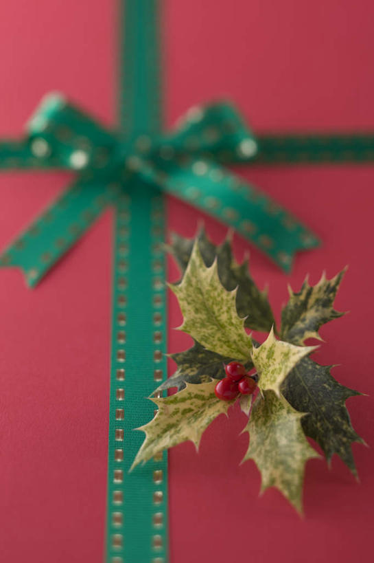 无人,竖图,俯视,室内,白天,礼盒,礼物,叶子,圣诞节,红色背景,节日,庆祝,纸盒,绿叶,缎带,文化,盒子,冬青树,绿色,包装盒,蝴蝶结,礼品盒,庆典,嫩叶,摄影,礼品,影棚,纪念,叶,叶片,彩图,高角度拍摄,影棚拍摄,拍摄