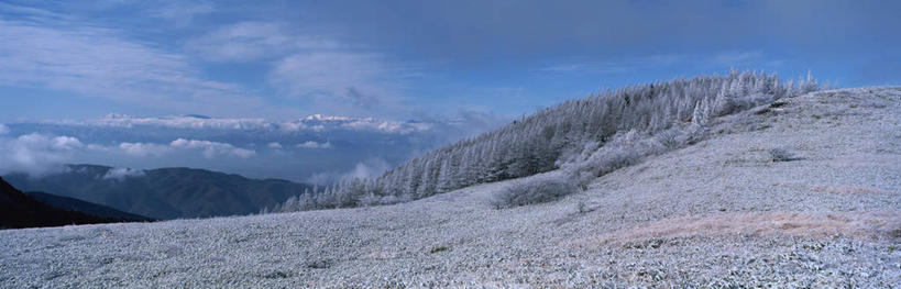 无人,横图,室外,白天,正面,旅游,度假,美景,森林,山,山脉,树林,雪,植物,大雪,长野县,日本,亚洲,积雪,景观,山峰,雪景,云,云朵,冬天,山峦,云彩,娱乐,树,树木,蓝色,绿色,白云,蓝天,天空,自然,群山,天,享受,休闲,景色,放松,生长,晴朗,成长,自然风光,东亚,本州,本州岛,日本国,中部地方,长野,晴空,彩图