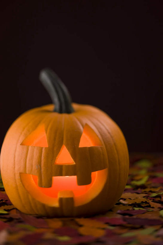 无人,竖图,室内,白天,正面,南瓜,蔬菜,蜡烛,叶子,节日,朦胧,模糊,庆祝,新鲜,火焰,烛光,灯光,金瓜,食品,枯叶,燃烧,文化,番瓜,灯,食物,一个,灯具,点燃,庆典,南瓜灯,万圣节,有机食品,绿色食品,单个,纪念,麦瓜,倭瓜,照明设备,叶,叶片,彩图,拟人