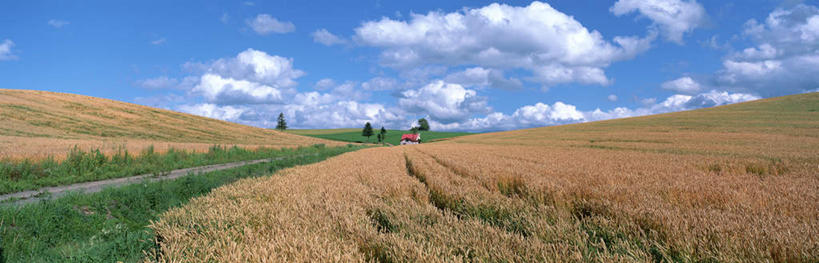 无人,家,农田,横图,室外,白天,正面,旅游,度假,庄稼,美景,山,山脉,道路,路,北海道,日本,亚洲,房屋,屋子,草屋,景观,山峰,云,云朵,小路,交通,山峦,云彩,娱乐,住宅,蓝色,白云,蓝天,天空,自然,茅草屋,群山,天,享受,休闲,景色,放松,乡间小路,晴朗,自然风光,东亚,日本国,北海道地方,北海道岛,美瑛町,美瑛,晴空,彩图,耕地,庄稼田,房子,茅舍,茅屋,小屋