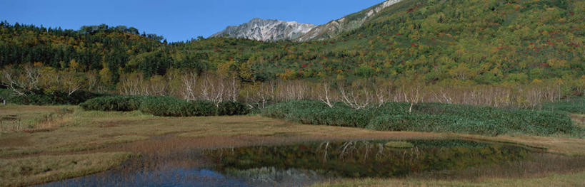 无人,横图,室外,白天,正面,旅游,度假,河流,美景,森林,山,山脉,树林,水,植物,长野县,日本,亚洲,河水,景观,旷野,山峰,水流,山峦,娱乐,树,树木,蓝色,绿色,蓝天,天空,自然,群山,天,享受,休闲,景色,放松,生长,晴朗,成长,自然风光,东亚,本州,万里无云,本州岛,日本国,中部地方,长野,晴空,晴空万里,彩图