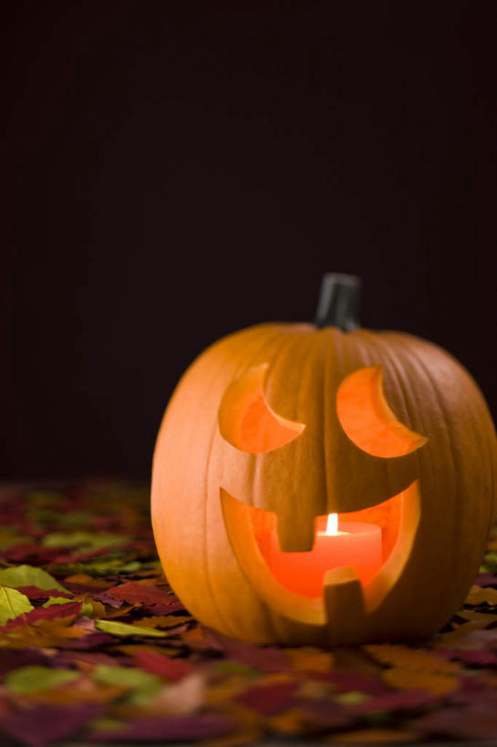 无人,竖图,室内,特写,白天,正面,南瓜,蔬菜,蜡烛,黑色背景,节日,朦胧,模糊,庆祝,新鲜,火焰,烛光,灯光,金瓜,食品,燃烧,文化,番瓜,灯,食物,灯具,点燃,庆典,南瓜灯,万圣节,摄影,有机食品,绿色食品,影棚,纪念,麦瓜,倭瓜,照明设备,彩图,影棚拍摄,拍摄,拟人