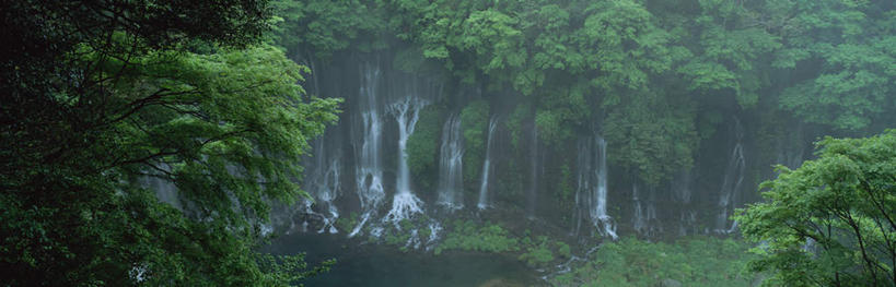 无人,横图,室外,白天,正面,旅游,度假,河流,美景,瀑布,树林,水,植物,静冈县,日本,亚洲,飞溅,朦胧,模糊,溅,液体,河水,景观,水流,娱乐,树,树木,绿色,自然,享受,休闲,景色,放松,生长,成长,喷洒,自然风光,东亚,本州,本州岛,日本国,中部地方,静冈,富士宫,跌水,彩图