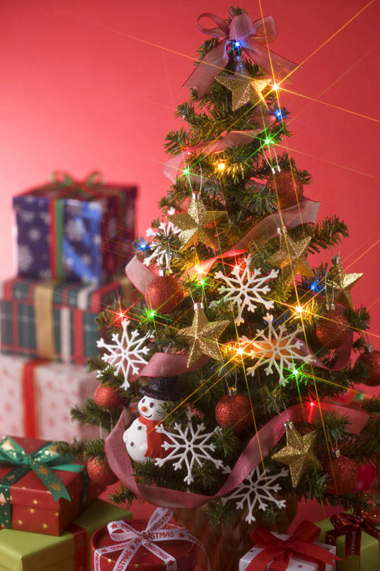 无人,竖图,室内,特写,白天,正面,树林,植物,礼盒,礼物,叶子,圣诞节,阴影,红色背景,节日,朦胧,模糊,庆祝,光线,影子,纸盒,灯光,绿叶,圣诞树,文化,盒子,树,树木,绿色,自然,包装盒,蝴蝶结,礼品盒,庆典,嫩叶,摄影,礼品,影棚,生长,成长,纪念,叶,叶片,彩图,影棚拍摄,拍摄