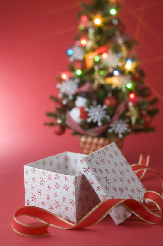 无人,竖图,室内,特写,白天,正面,植物,礼盒,礼物,圣诞节,阴影,红色背景,节日,朦胧,模糊,庆祝,光线,影子,纸盒,灯光,圣诞树,缎带,文化,盒子,树,树木,一个,红色,绿色,自然,包装盒,礼品盒,庆典,摄影,礼品,影棚,生长,单个,成长,纪念,彩图,影棚拍摄,拍摄