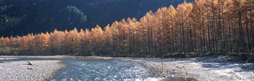 无人,横图,室外,白天,正面,旅游,度假,河流,美景,秋季,森林,山,山脉,树林,水,植物,长野县,日本,亚洲,阴影,光线,影子,河水,景观,山峰,水流,山峦,娱乐,树,树木,绿色,阳光,自然,群山,享受,休闲,景色,放松,生长,成长,自然风光,东亚,本州,本州岛,日本国,中部地方,长野,秋,秋天,彩图