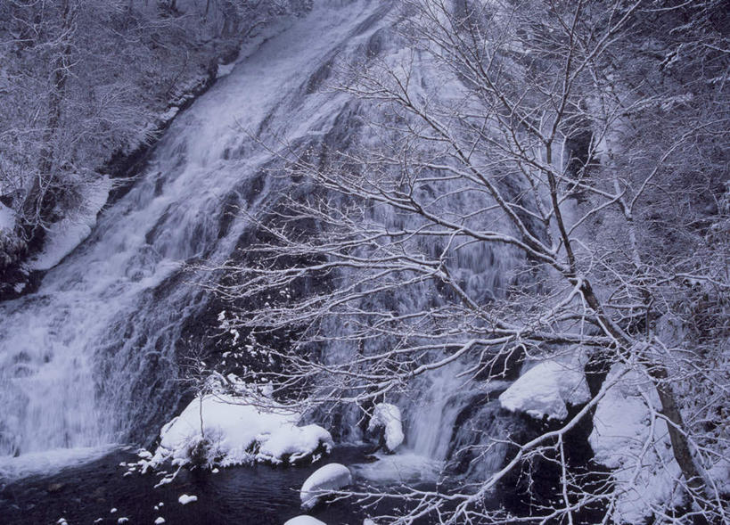 无人,横图,室外,白天,正面,旅游,度假,石头,美景,瀑布,树林,水,雪,植物,大雪,日本,亚洲,飞溅,溅,石子,液体,积雪,景观,雪景,冬天,娱乐,树,树木,蓝色,绿色,蓝天,天空,自然,天,享受,休闲,景色,放松,生长,成长,喷洒,自然风光,东亚,本州,关东地方,本州岛,日本国,栃木,栃木县,跌水,石块,岩石,彩图