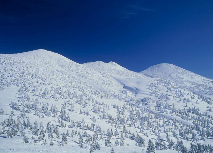 无人,横图,室外,白天,正面,旅游,度假,美景,山,山脉,树林,雪,植物,大雪,日本,亚洲,阴影,光线,影子,积雪,景观,山峰,雪景,冬天,山峦,娱乐,树,树木,蓝色,绿色,蓝天,天空,阳光,自然,群山,天,享受,休闲,景色,放松,生长,成长,自然风光,东亚,本州,本州岛,日本国,青森,青森县,东北地方,彩图