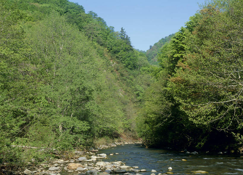 无人,横图,室外,白天,正面,旅游,度假,河流,石头,美景,山,山脉,树林,水,植物,日本,亚洲,阴影,光线,石子,影子,河水,景观,山峰,水流,山峦,娱乐,树,树木,蓝色,绿色,蓝天,天空,阳光,自然,群山,天,享受,休闲,景色,放松,生长,成长,自然风光,东亚,本州,本州岛,日本国,青森,青森县,东北地方,石块,岩石,彩图